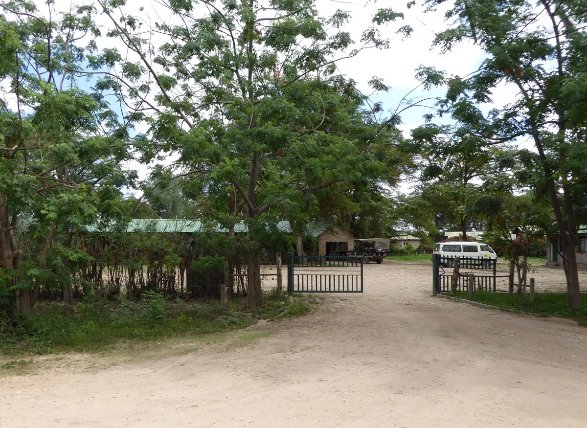 Entrance of the Amboseli elephant research camp among tall green trees