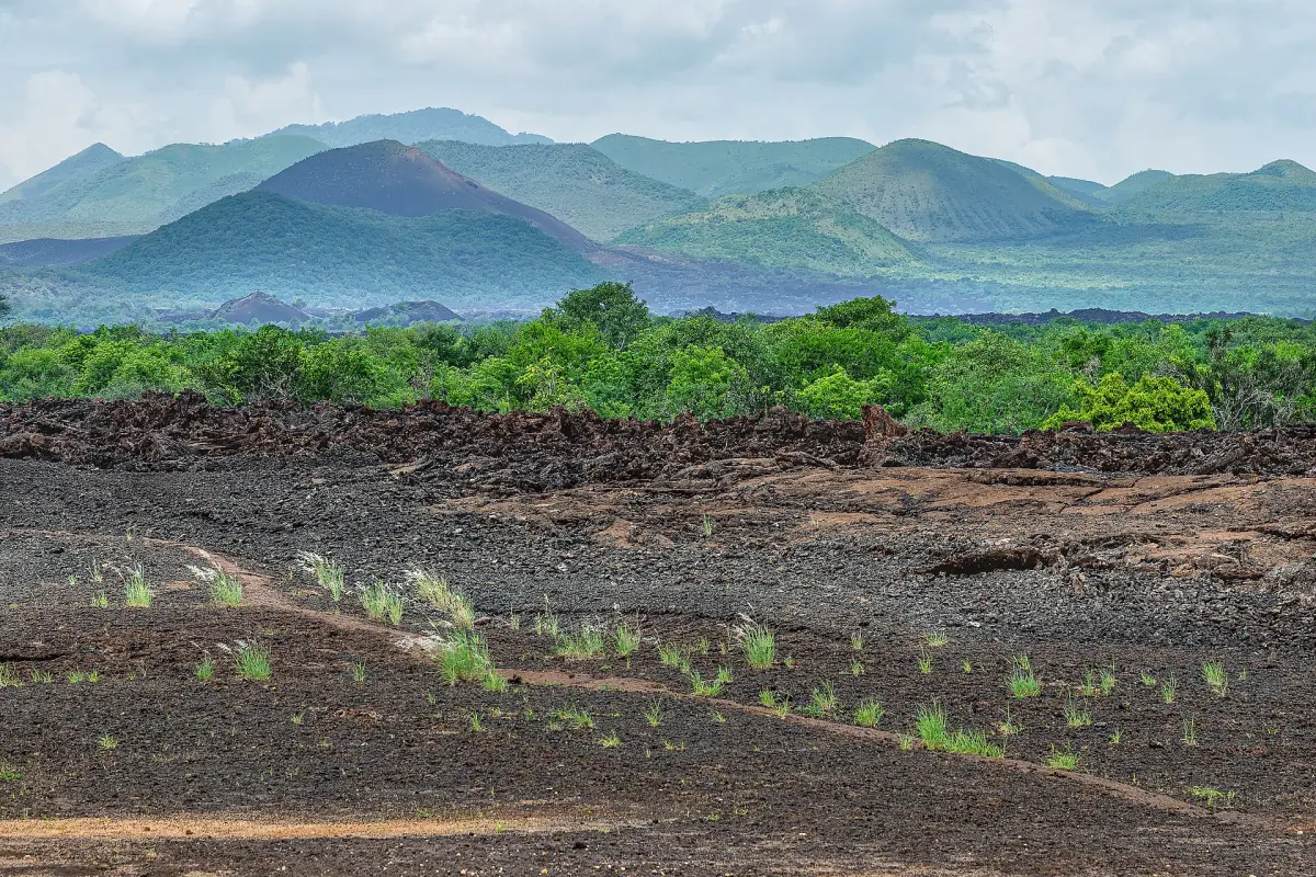 Green Chyulu Hills behind a dark black lava field and bushes