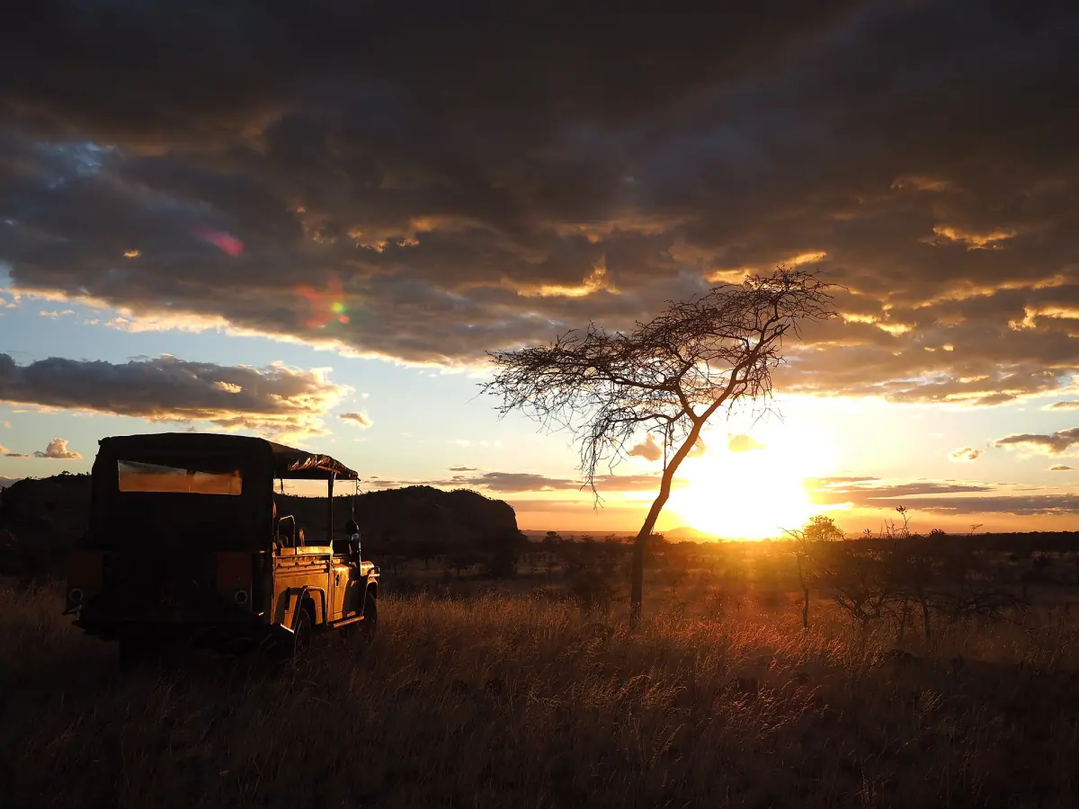 Safari vehicle parked near an acacia tree at sunset in the Chyulu Hills