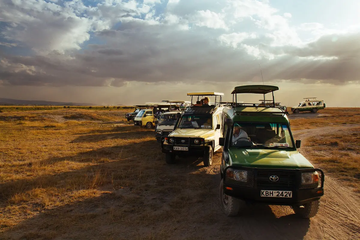 Safari vehicles on a dusty track under dramatic evening clouds