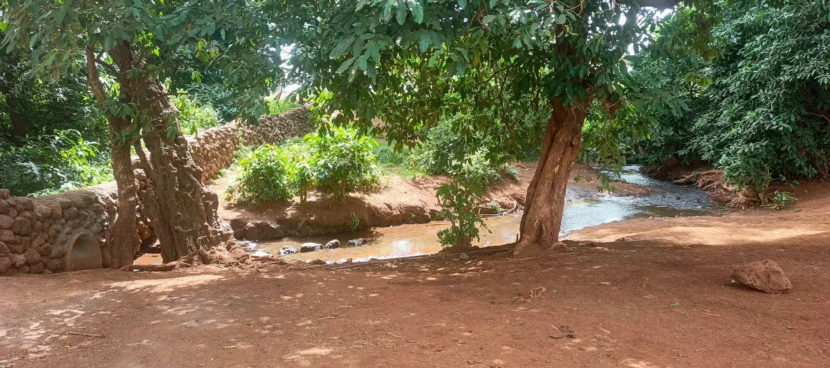 Dry red earth and shady trees along the Kimana river bank