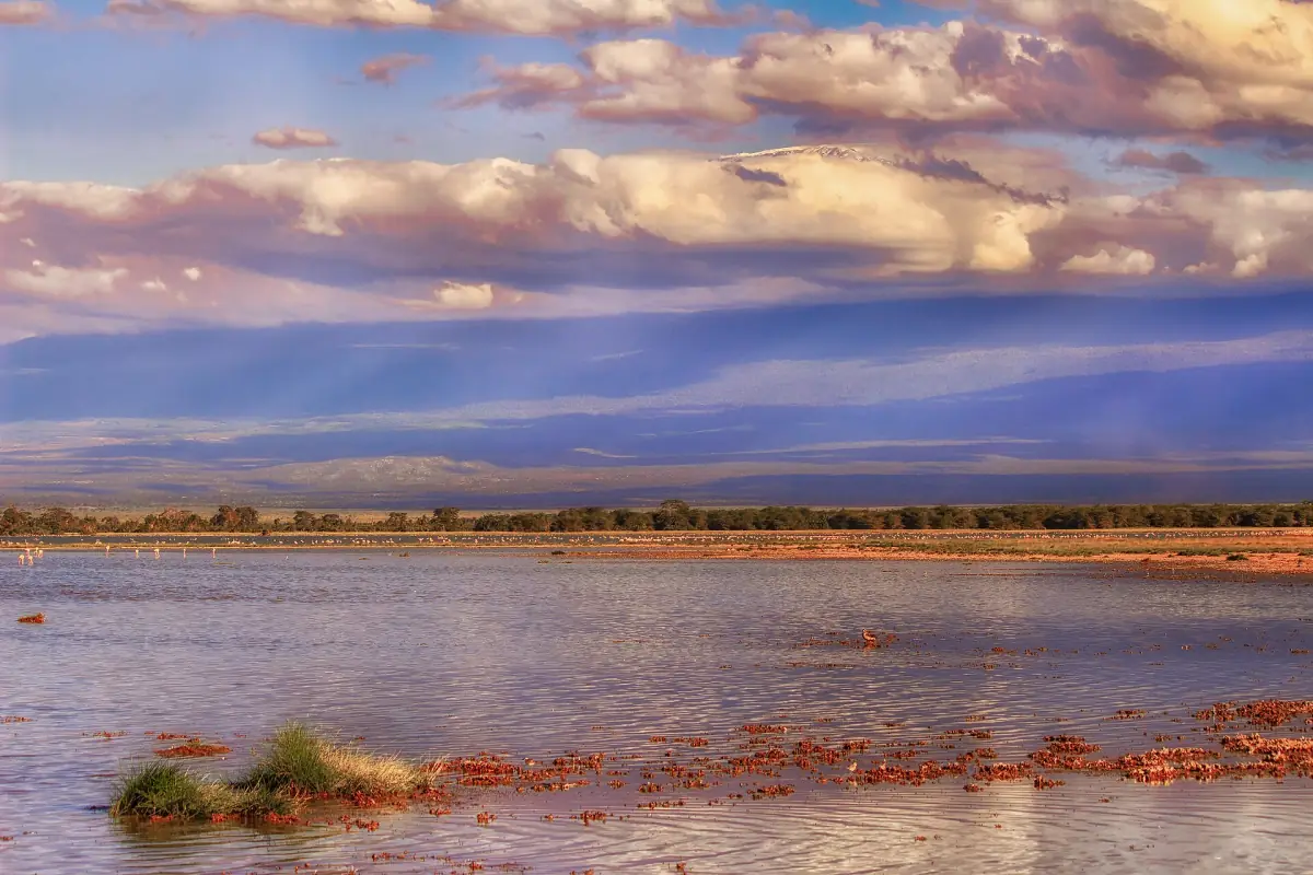 Lake Amboseli reflecting evening clouds with Kilimanjaro on the horizon