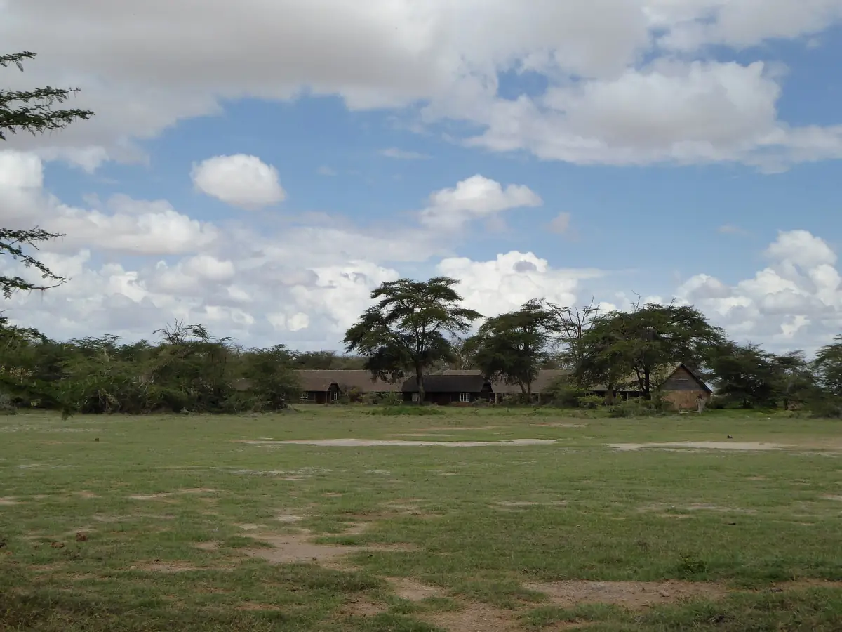 Abandoned old Amboseli lodge among trees on a grassy plain